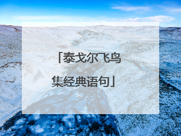 泰戈尔飞鸟集经典语句