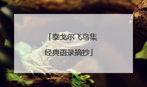 泰戈尔飞鸟集经典语录摘抄