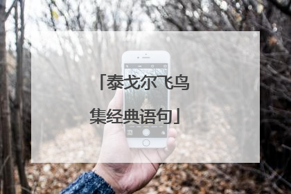 泰戈尔飞鸟集经典语句