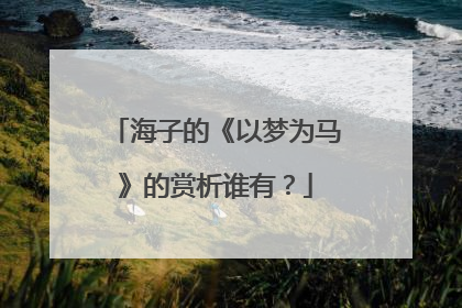 海子的《以梦为马》的赏析谁有?