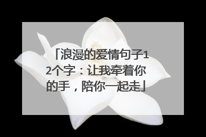 浪漫的爱情句子12个字:让我牵着你的手,陪你一起走