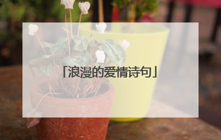浪漫的爱情诗句