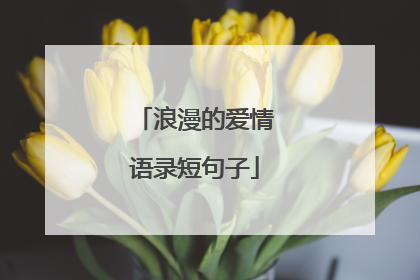 浪漫的爱情语录短句子