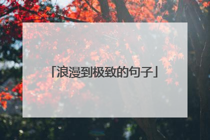 浪漫到极致的句子