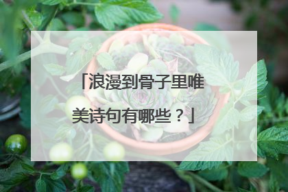 浪漫到骨子里唯美诗句有哪些？