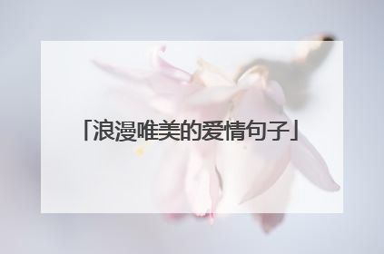 浪漫唯美的爱情句子
