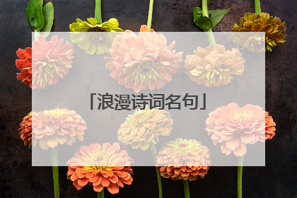 浪漫诗词名句
