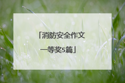 消防安全作文一等奖5篇