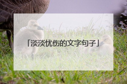 淡淡忧伤的文字句子