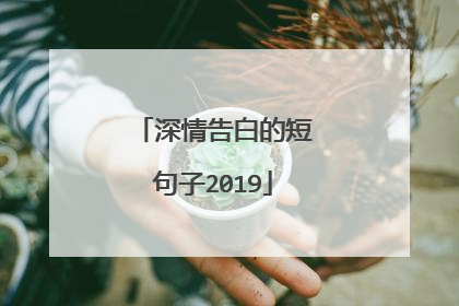 深情告白的短句子2019