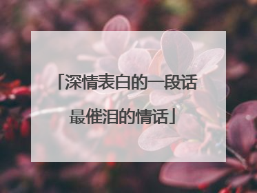 深情表白的一段话 最催泪的情话