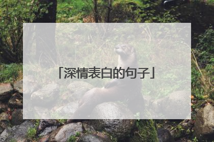 深情表白的句子