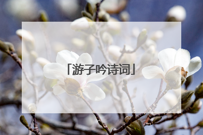 游子吟诗词