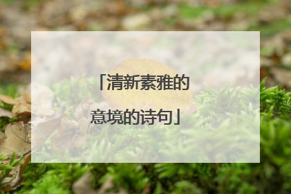 清新素雅的意境的诗句