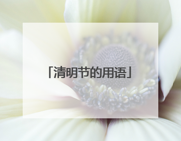 清明节的用语