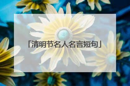 清明节名人名言短句