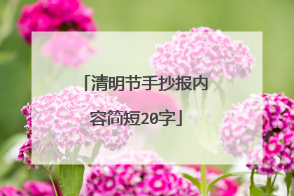 清明节手抄报内容简短20字