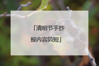 清明节手抄报内容简短