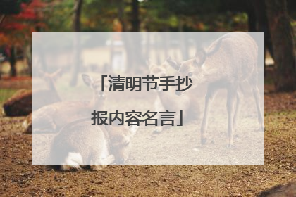 清明节手抄报内容名言