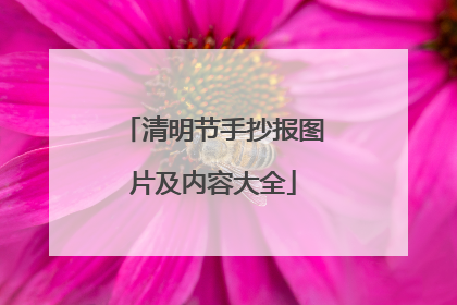 清明节手抄报图片及内容大全