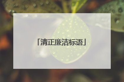 清正廉洁标语