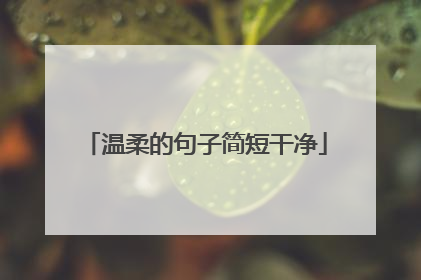 温柔的句子简短干净