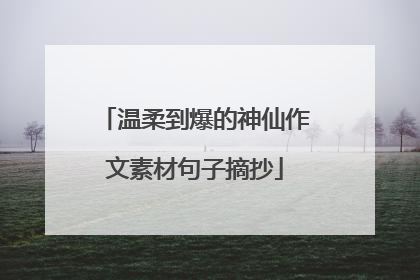 温柔到爆的神仙作文素材句子摘抄