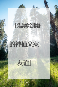 温柔到爆的神仙文案友谊