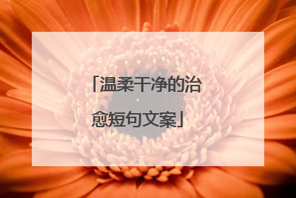 温柔干净的治愈短句文案