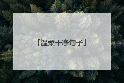 温柔干净句子