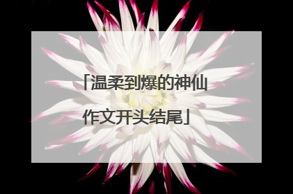 温柔到爆的神仙作文开头结尾
