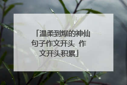 温柔到爆的神仙句子作文开头 作文开头积累