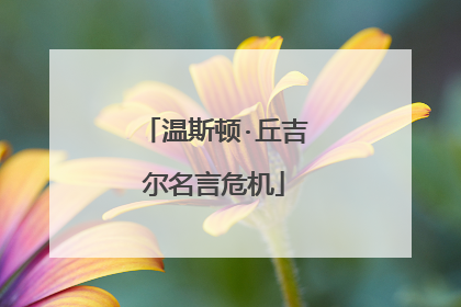 温斯顿·丘吉尔名言危机
