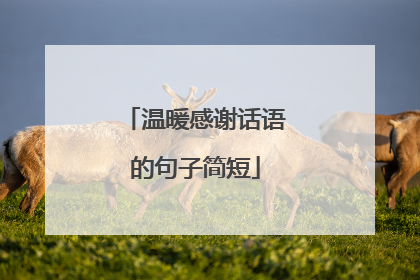 温暖感谢话语的句子简短