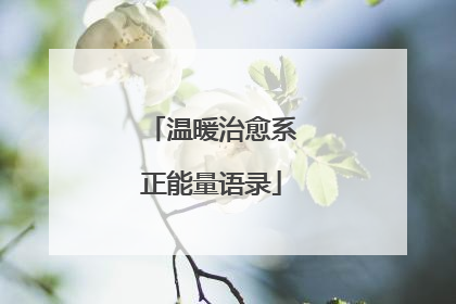 温暖治愈系正能量语录