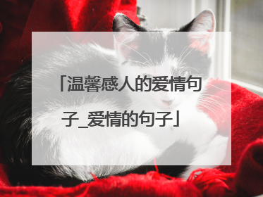 温馨感人的爱情句子_爱情的句子
