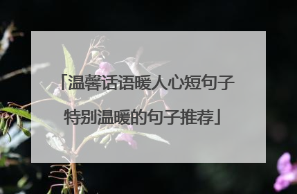 温馨话语暖人心短句子 特别温暖的句子推荐