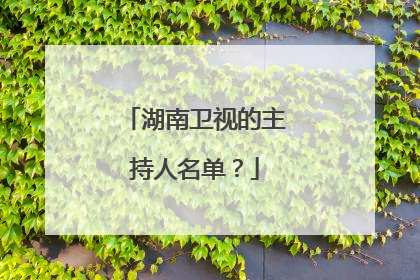 湖南卫视的主持人名单？