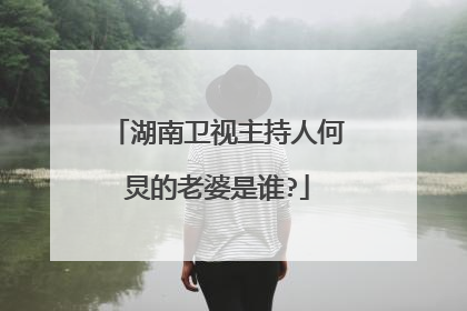 湖南卫视主持人何炅的老婆是谁?