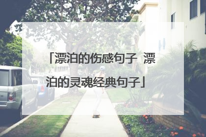 漂泊的伤感句子 漂泊的灵魂经典句子