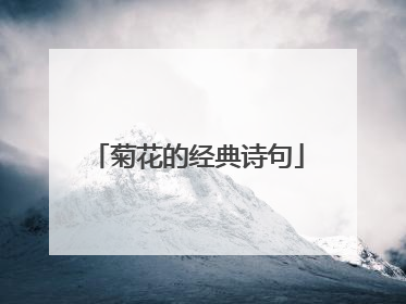 菊花的经典诗句