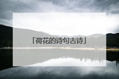 荷花的诗句古诗