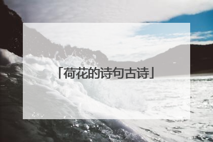 荷花的诗句古诗