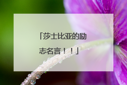 莎士比亚的励志名言!!