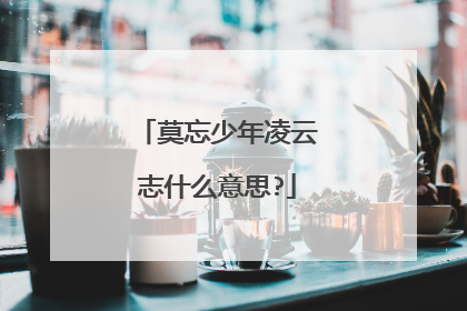 莫忘少年凌云志什么意思?