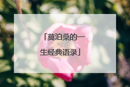 莫泊桑的一生经典语录