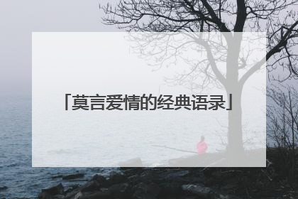 莫言爱情的经典语录