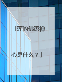 莲的佛语禅心是什么?