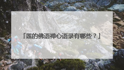莲的佛语禅心语录有哪些?