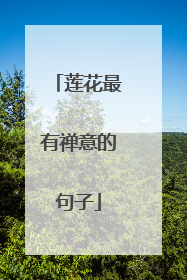 莲花最有禅意的句子